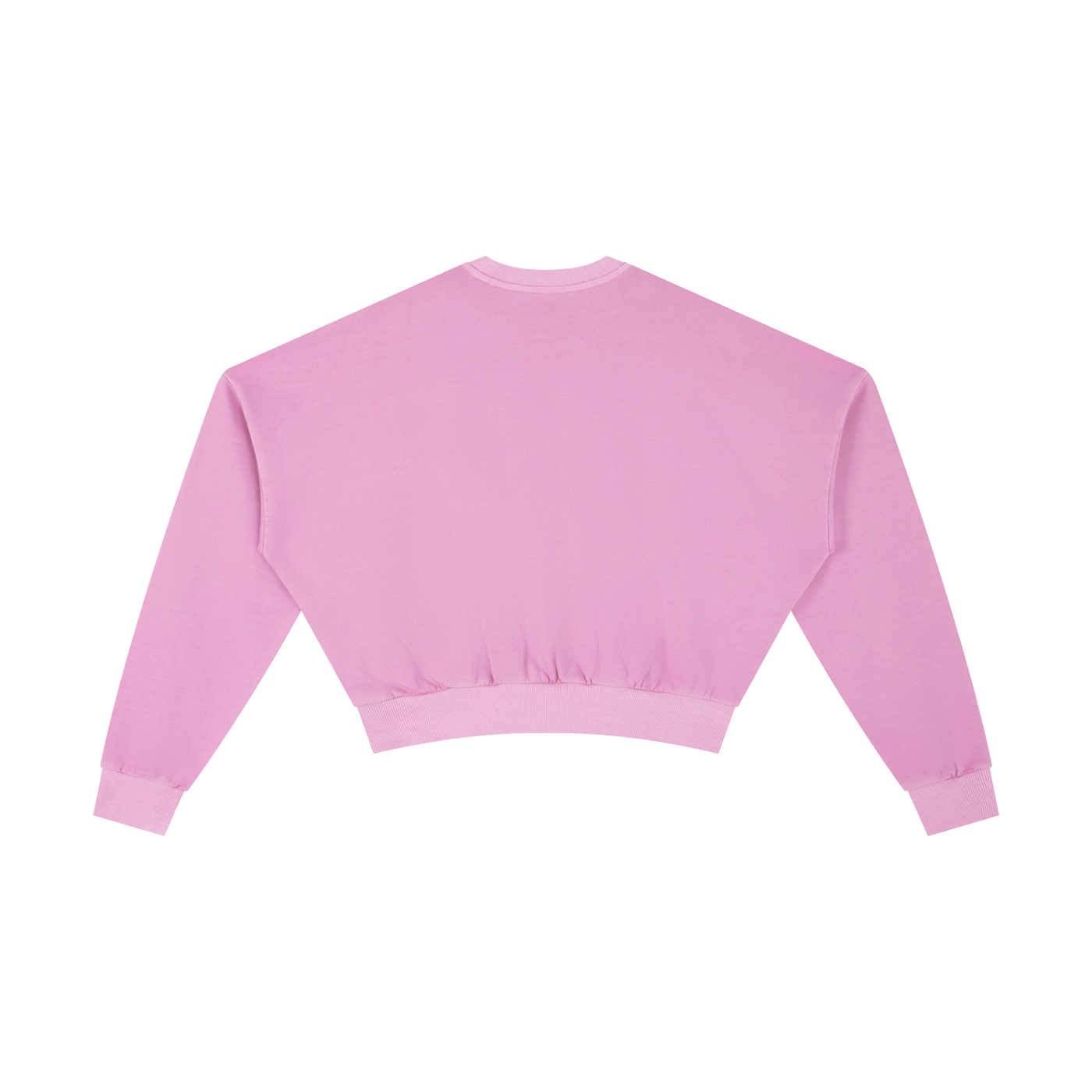 Signature Branded Women's Vintage Washed Cropped Sweatshirt