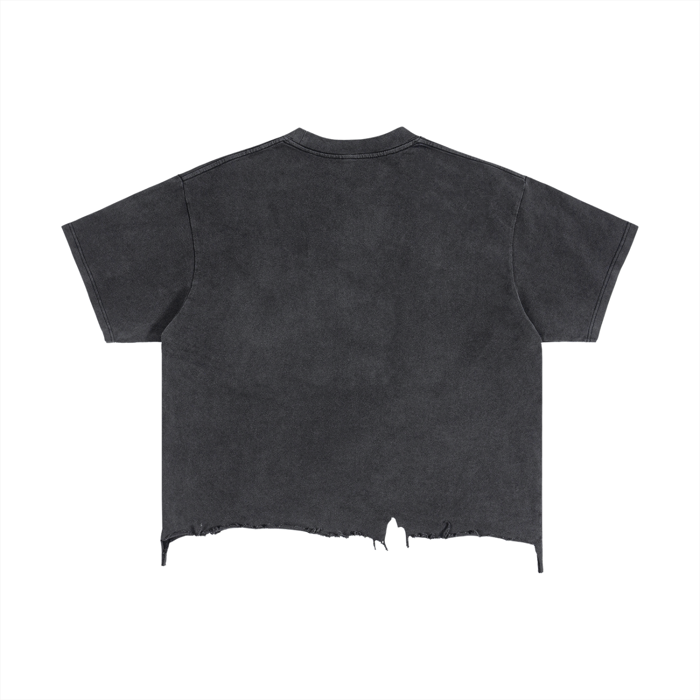 Vintage Wash Distressed Hem ASW T-Shirt